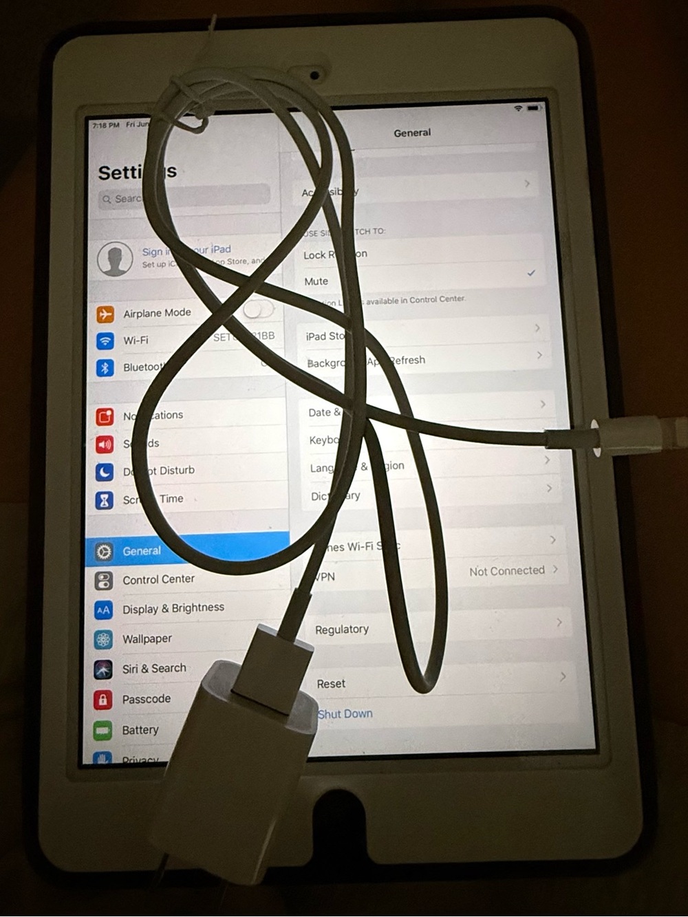 Mini iPad with Accessories